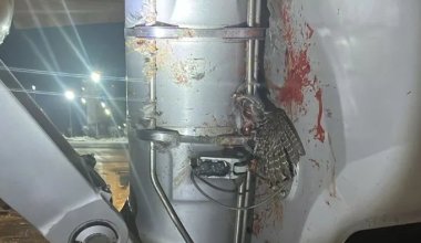 Самолет FlyArystan столкнулся с птицами при вылете из Уральска в Астану