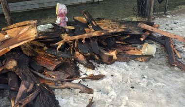Семейство обезьян погибло в результате пожара в зоопарке Бишкека