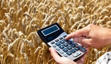 Казахстан сокращает посевы пшеницы