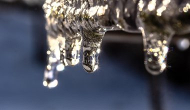 Весна-2025 в Казахстане: аномальное тепло, резкие похолодания и сюрпризы погоды