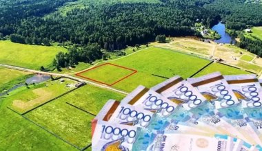 Тысячи га пастбищ отдали землепользователям, у которых не было скота в Костанайской области