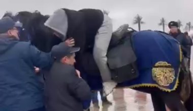 Силой сняли с лошади: конфликт с полицией попал на видео в Актау