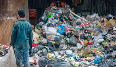 Миллиарды на мусор: сколько можно заработать на сортировке полимерных отходов