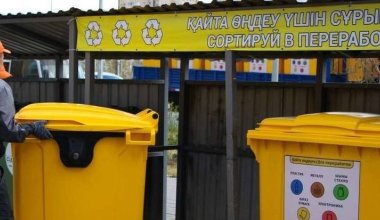 Фейковая экологичность? Почему раздельный мусор сбрасывают в один грузовик