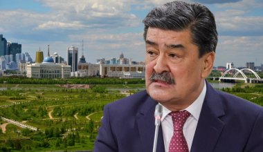 “Короче, лесхоз”: почему Минэкологии решило распустить РГП “Жасыл Аймак”