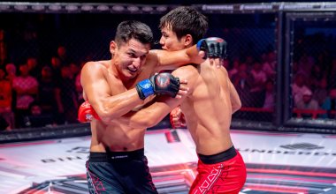 Бойкотировать казахстанскую лигу призвали в UFC