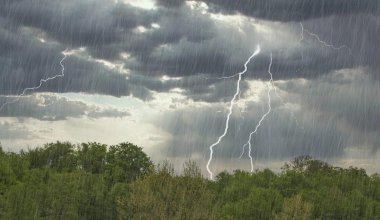 Дожди и грозы ожидаются в Казахстане 22 мая