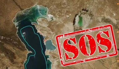 Обмеление Каспия сильнее всего ударит по Казахстану — эксперты