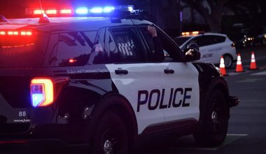 Полиция США приняла курт за наркотик