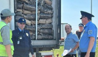 30 тонн яиц пытались незаконно ввезти в Казахстан из России
