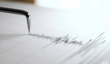Сильное землетрясение в Жамбылской области: открыта горячая линия