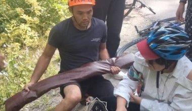 Туристку из Китая с травмами нашли спасатели в районе БАО