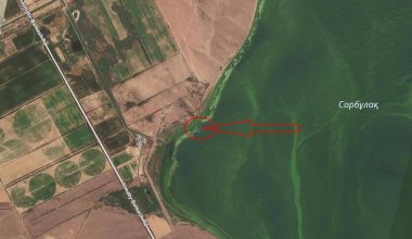 Фрагменты пропавшего военного вертолета обнаружены в Казахстане
