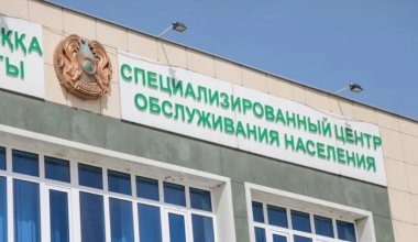 Доход превысил 150 млн: 15 человек обвинили в афере с водительскими правами в Шымкенте