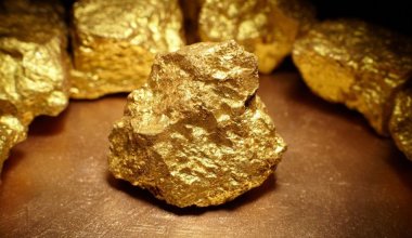 Компания казахстанского олигарха выплатила руководству 2,5 млрд тенге