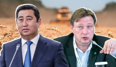 Окно возможностей: как Казахстану занять место России на аграрном Олимпе