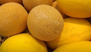 Эксперты назвали фрукты, которые быстрее портятся при жаре