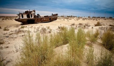 Трагедия Аральского моря: Казахстан проведет экологический саммит, заявил Токаев