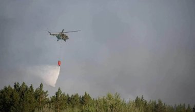 В Алматинской области полностью ликвидирован природный пожар