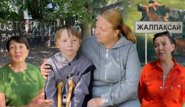 Два месяца спустя: что происходит с делом о нападении собак близ Алматы