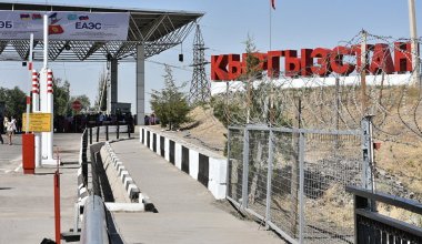 Кыргызстанцы погибли на границе из-за лекарственной травы