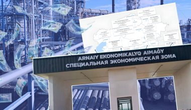 Чемодан без ручки: почему СЭЗ регулярно критикуют, но не закрывают