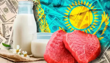 Самые полезные продукты из казахской национальной кухни назвал ученый