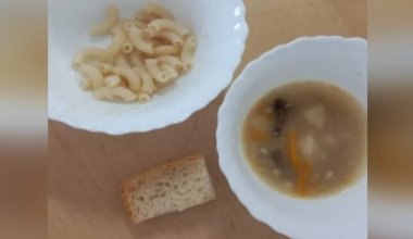 Тараканы и мошки обнаружены в еде талдыкорганского детсада