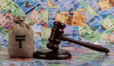 Налоговую обязали выплатить казахстанке 35 млн тенге