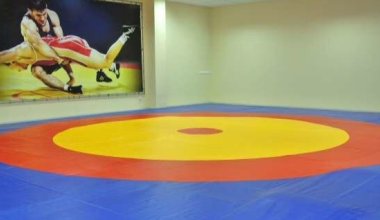 15-летний борец, сломавший шею в ходе турнира, скончался в Астане