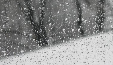 Заморозки ударят по Казахстану: объявлено штормовое предупреждение