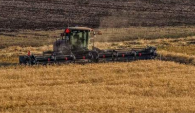 В Казахстане намолочено почти 15 миллионов тонн зерна