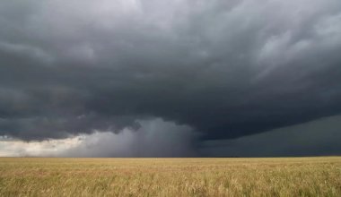 Синоптики огорчили аграриев