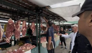 Дорогая говядина: сколько денег дает государство владельцам КРС