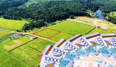 Более 6 млн га возвращенных земель передали сельскому хозяйству в Казахстане