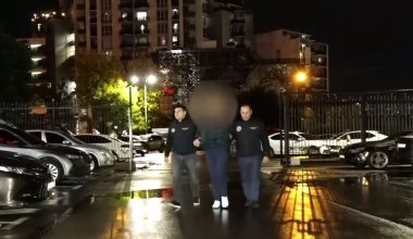 Обман суррогатных матерей из Казахстана: в Грузии арестовали директора агентства