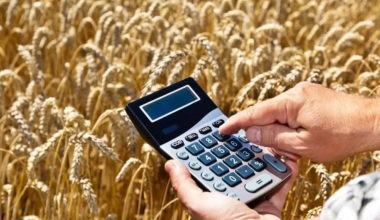 Экспорт казахстанского зерна нового урожая превысил 1 млн тонн