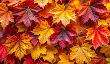 Прогноз погоды на 5 октября в Казахстане