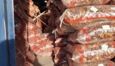 Свыше 46 тонн груза задержали на границе Казахстана и России