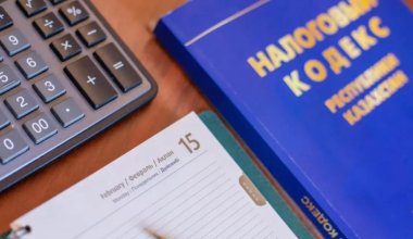 Отмены налоговых проверок удалось добиться в Казахстане