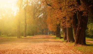 Какая погода будет 12 октября в Казахстане