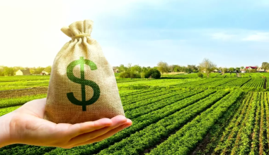 Фермеры Актобе потребовали вернуть списанные миллионы тенге