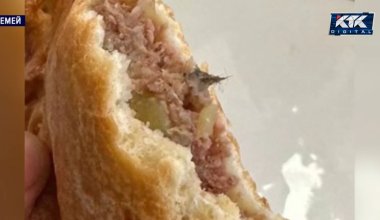 Шерсть в выпечке для школьников стала причиной скандала в Семее