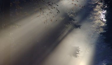 В каких регионах Казахстана объявлено штормовое предупреждение