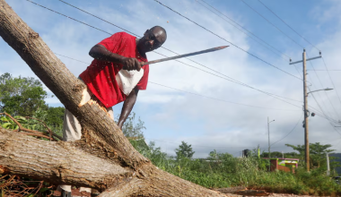 Жертвами крупнейшего шторма в истории Ямайки стали почти 30 человек