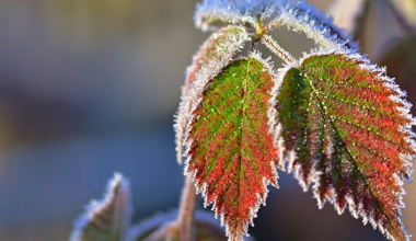 Почти по всему Казахстану объявили штормовое предупреждение