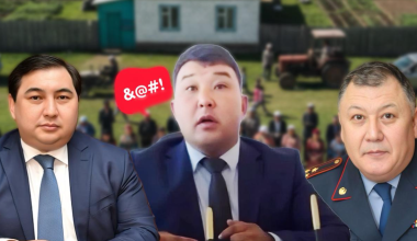 Сколько стоит «плохое слово»: как наказали сельского акима в ВКО за ненормативную лексику