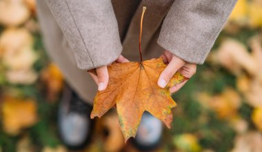 Осадки и ветер: прогноз погоды на 2 ноября в Казахстане
