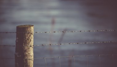 Свыше 4 тысяч иностранцев-нарушителей задержали в Казахстане