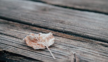 Сильный ветер и заморозки: в каких регионах объявлено штормовое предупреждение